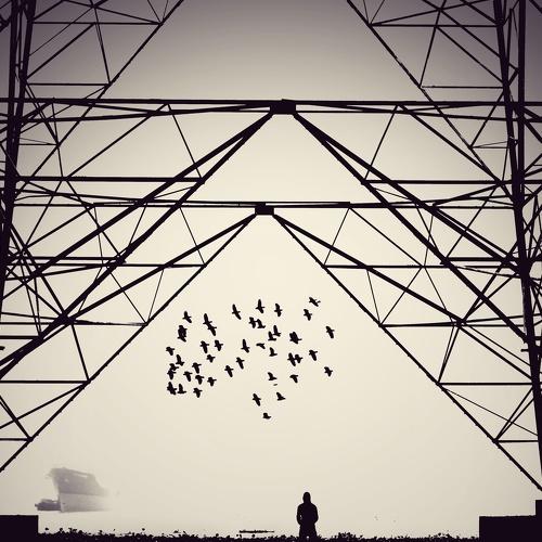 Conceptual