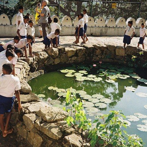 Photo #4237520