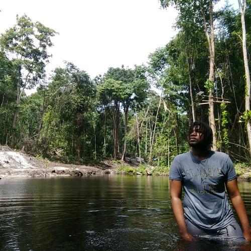 Photo #4238062