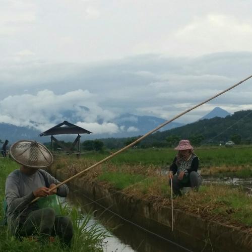 Fishing for living