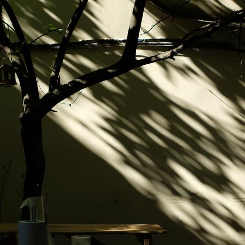 Photo #4238189