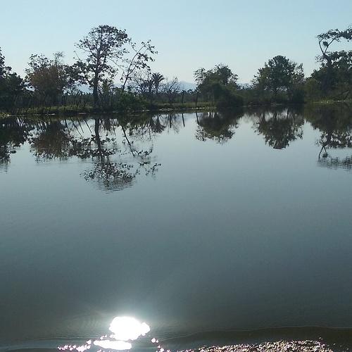 Photo #4238198