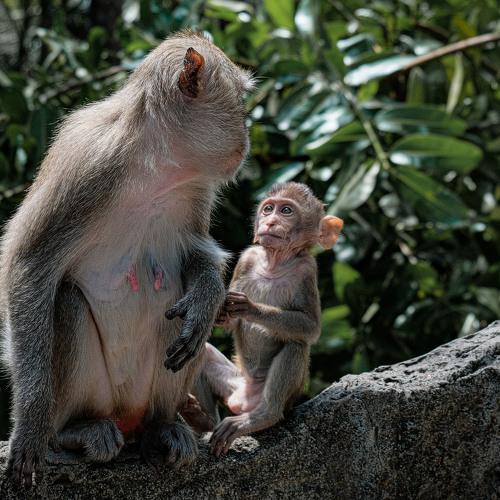 Photo #4238273