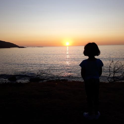 Photo #4238297