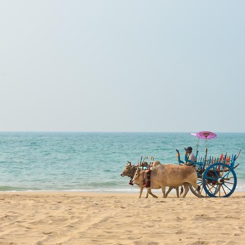 The Beach and The Beauty
