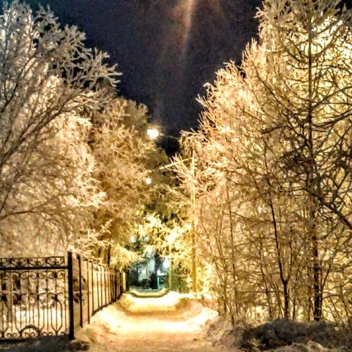 Дорога в сказку