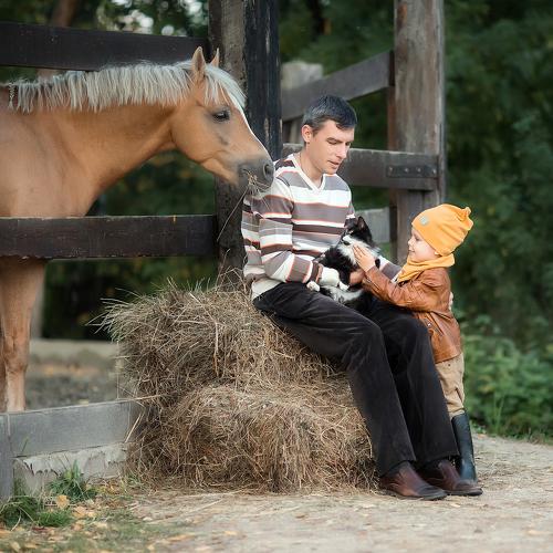 Photo #4238748