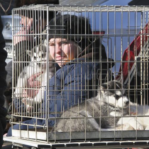 Photo #4239139