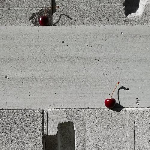 Photo #4239314