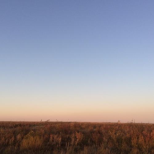 Photo #4240093