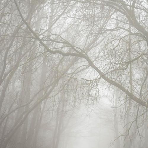Silence