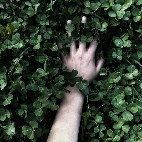 Photo #4240238
