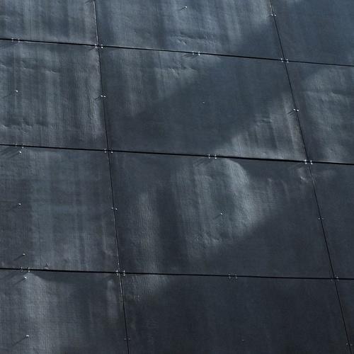 Photo #4240382