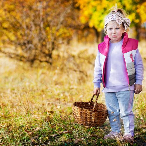 Photo #4240531