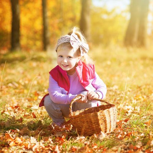 Photo #4240540