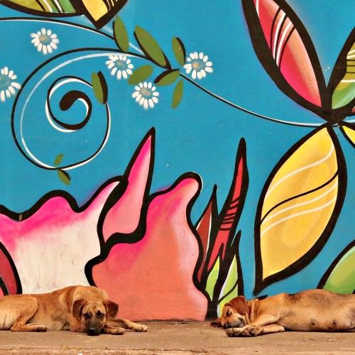 Photo #4240565