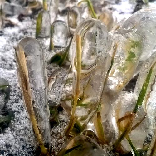 Photo #4241137