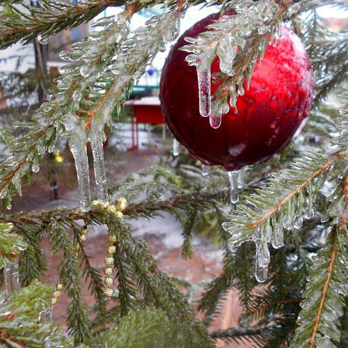 Photo #4241757