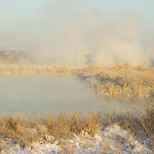 Photo #4241809