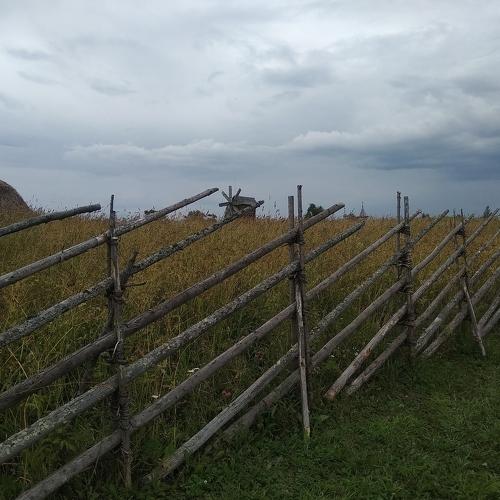 Photo #4241986