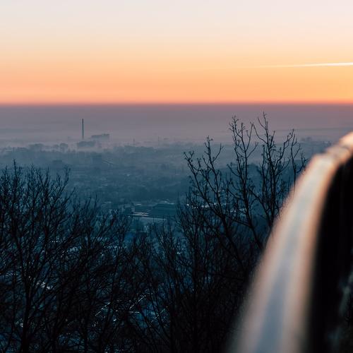 Photo #4242250