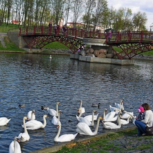 Photo #4242309