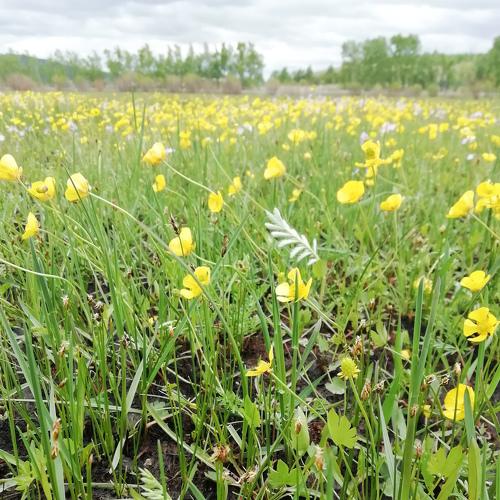 Photo #4243037