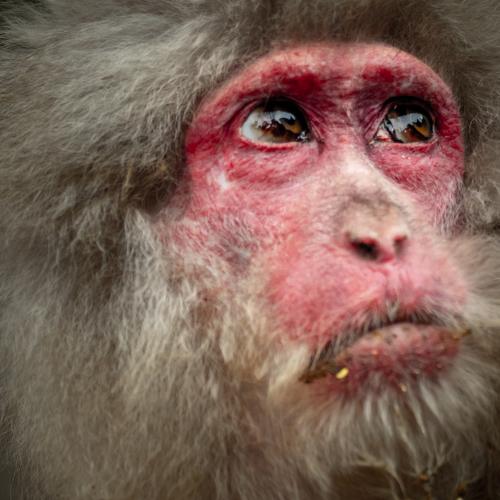 Photo #4243097