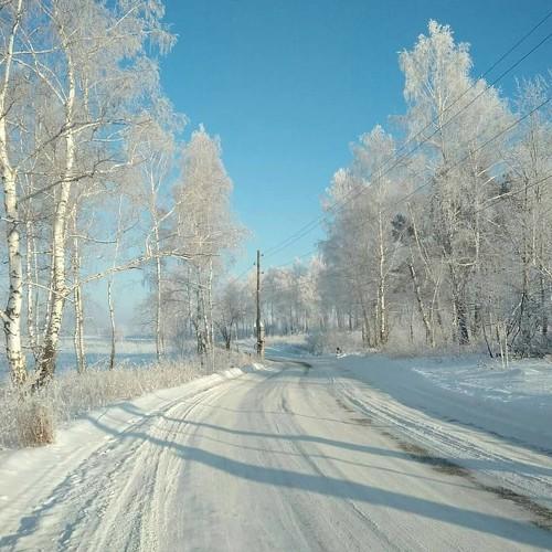 Photo #4243125