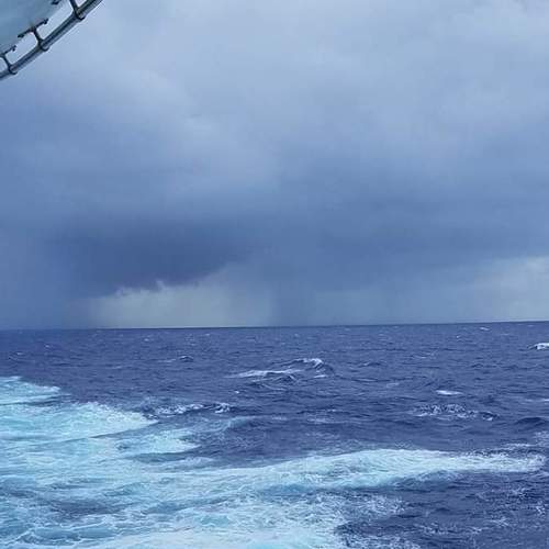 Photo #4243143