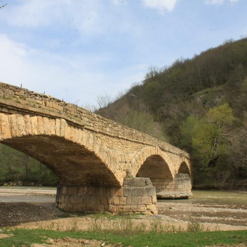 Photo #4243351