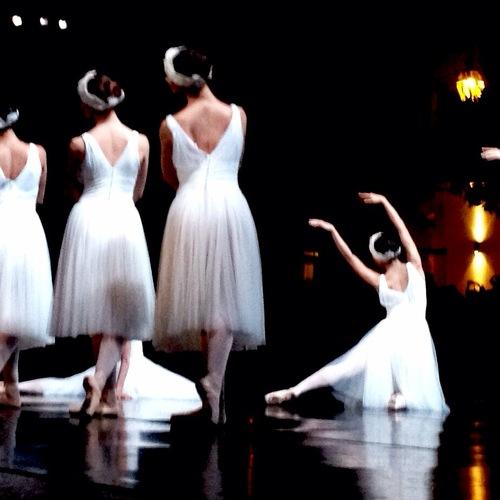 Photo #4243466