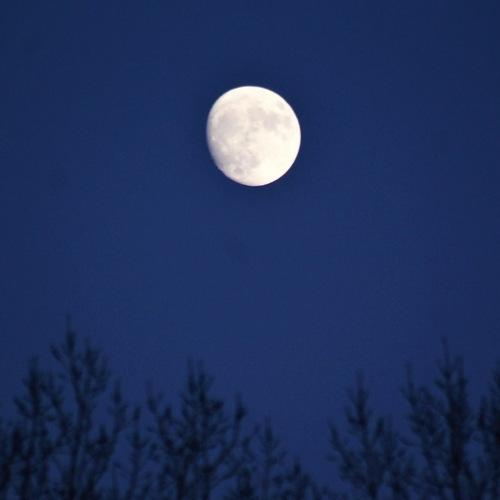 Photo #4243615
