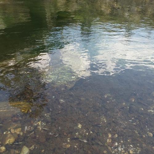 Photo #4243661