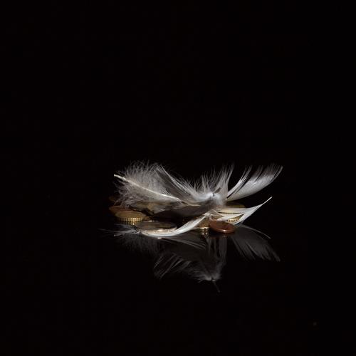 They fly away easily