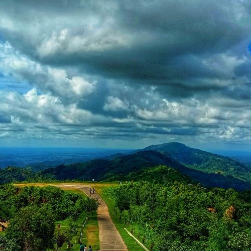 Photo #4244079