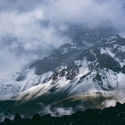 Photo #4244094