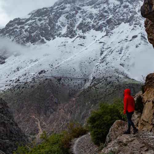 Photo #4244108