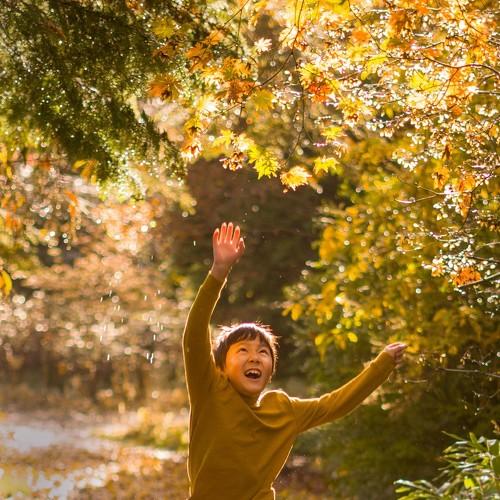Photo #4244345
