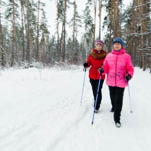 Photo #4244560