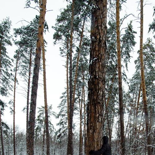 Photo #4244564