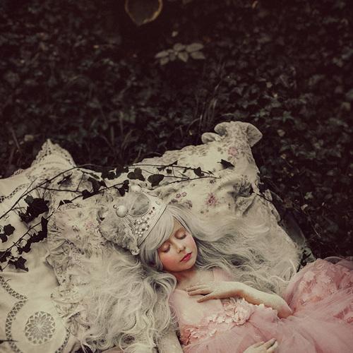 Photo #4244745