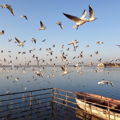Photo #4245223