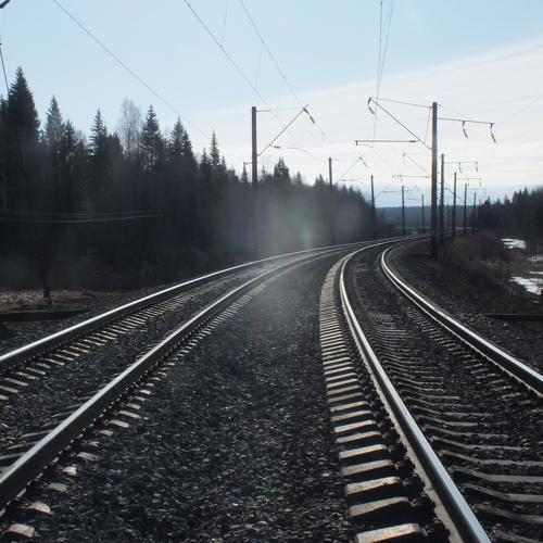 Photo #4245257