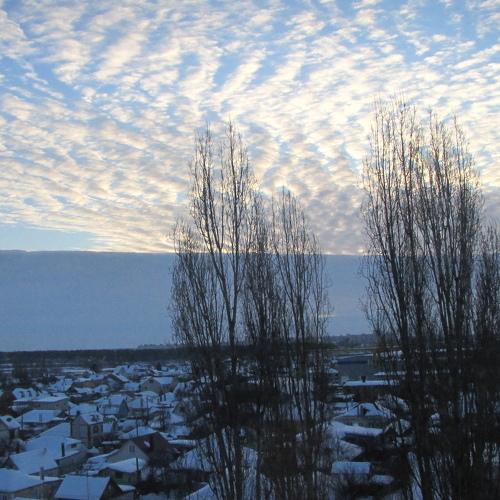Photo #4245298
