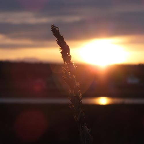 Photo #4245396