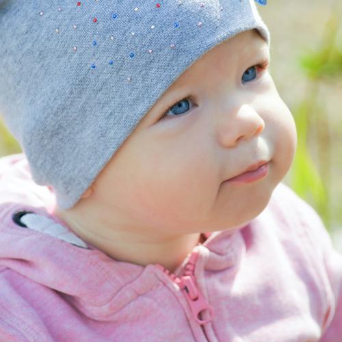 Photo #4245519