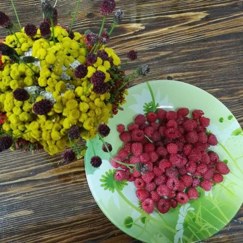 Photo #4245539