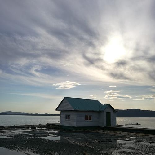 Photo #4245553
