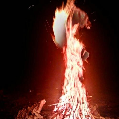 Photo #4245595